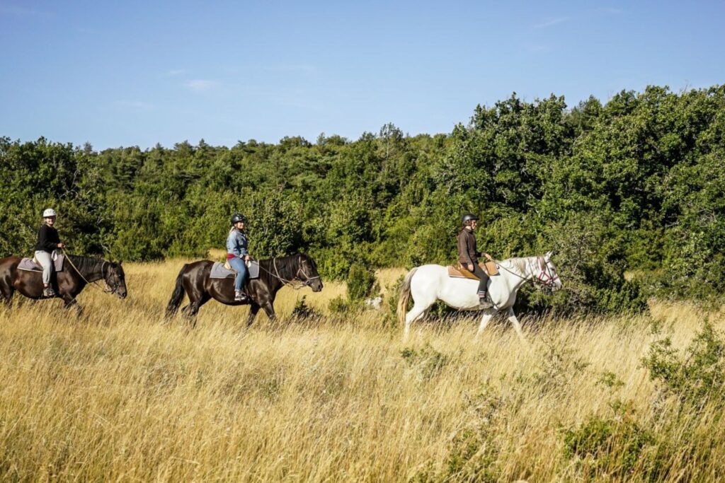Cavaliers en randonnée équestre à travers les paysages naturels du plateau du Larzac.