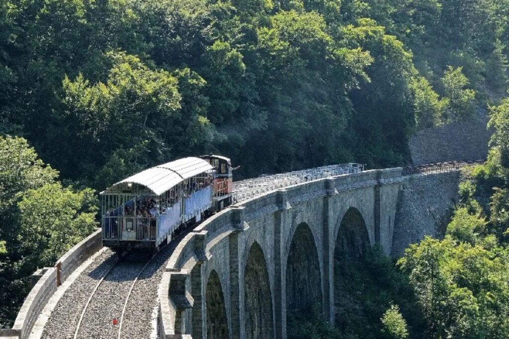Train touristique franchissant un viaduc au cœur des gorges boisées du Larzac.